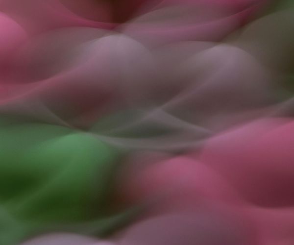 Abstract visual of gentle air currents flowing through green leaves.